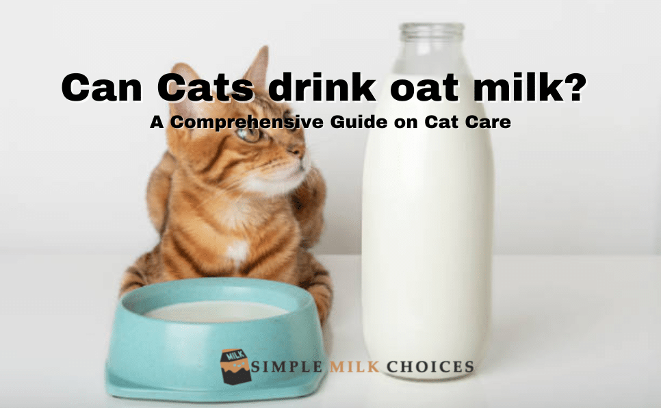 Can Cats drink oat milk