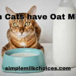 Can Cats have Oat Milk