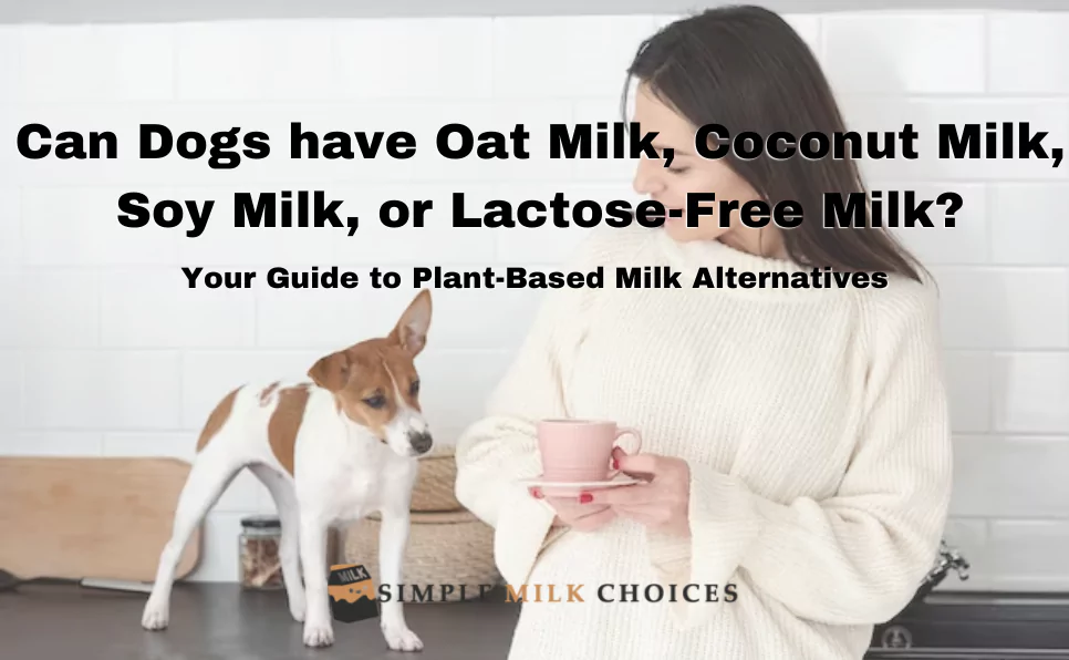 can dogs have oat milk