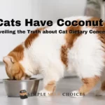 Cats Have Coconut Milk