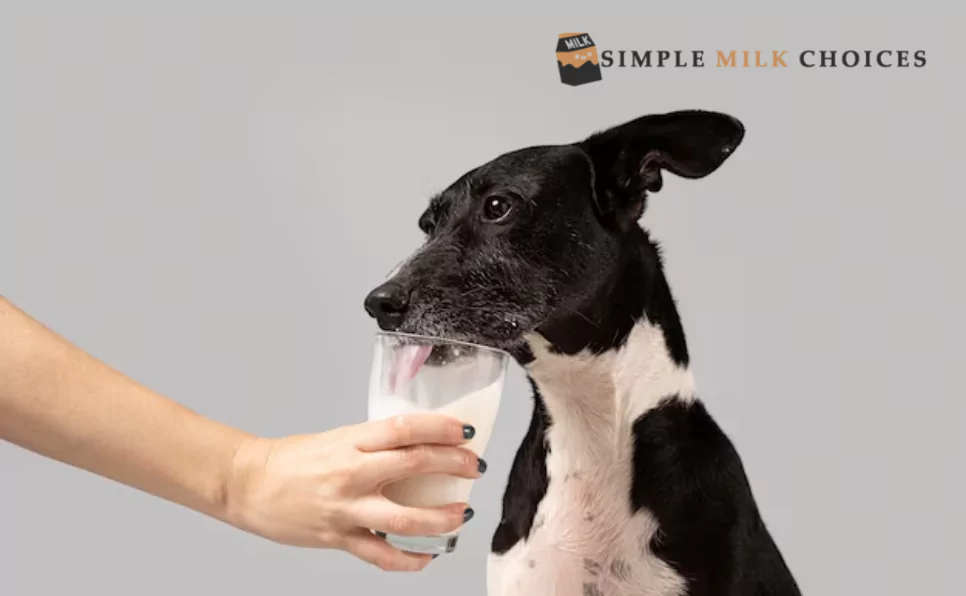A young girl smiling as she offers a glass of almond milk to a curious dog