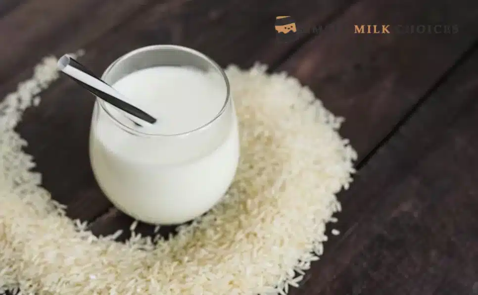 Freshly cooked rice grains arranged on a wooden surface next to a glass of creamy milk, showcasing the essence of rice as a dairy alternative.