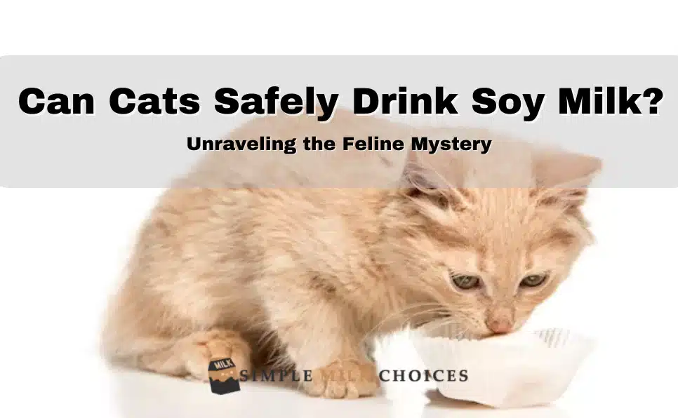 Image showing can cats drink soy milk